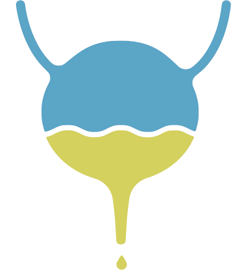 Diagram of a bladder showing urinary leakage for Emsella pelvic floor therapy in Dublin